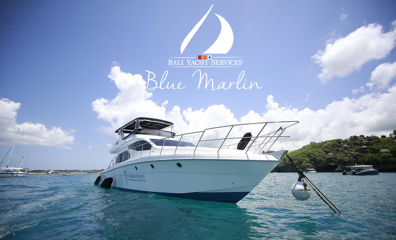 blue marlin yacht sales